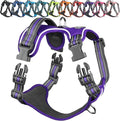 VIVAGLORY Dog Harness Easewalk No Pull Dog Harness with Handle & Front Back Clip for Training Lifting, Easy On Adjustable Padded No Pull for Pet & Puppy, XS, Purple
