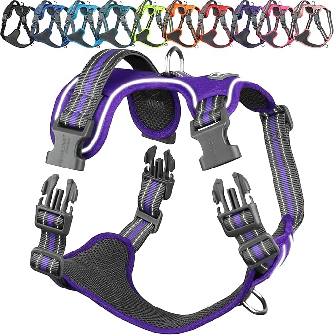 VIVAGLORY Dog Harness Easewalk No Pull Dog Harness with Handle & Front Back Clip for Training Lifting, Easy On Adjustable Padded No Pull for Pet & Puppy, M, Purple