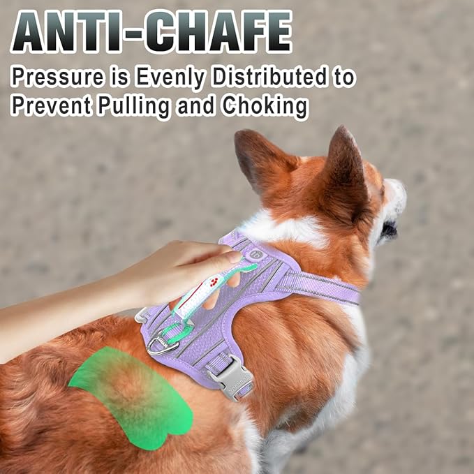 BARKBAY No Pull Dog Harness Large Reflective Dog Harness with Front Clip and Easy Control Handle for Walking Training Running with ID tag Pocket(Violet Purple,XS)