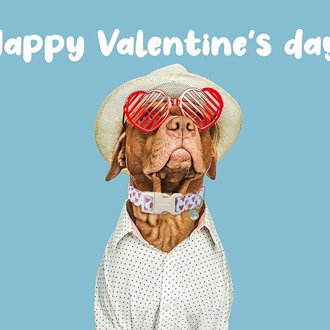 DOGWONG Valentine Dog Collar- Cute Blue Heart Dog Collars Adjustable Designer Valentine’s Day Puppy Heart Dog Collar for Small Medium Large Dogs M