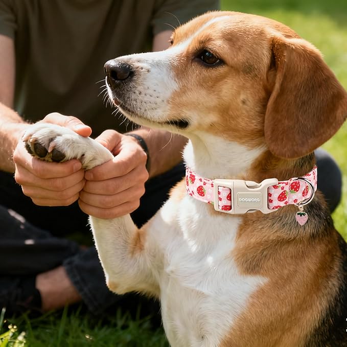 DOGWONG Cotton Handmade Daisy Flower Dog Collar Cute Pink Strawberries Dog Collars with Pendant for Girl Boy Dogs,XS