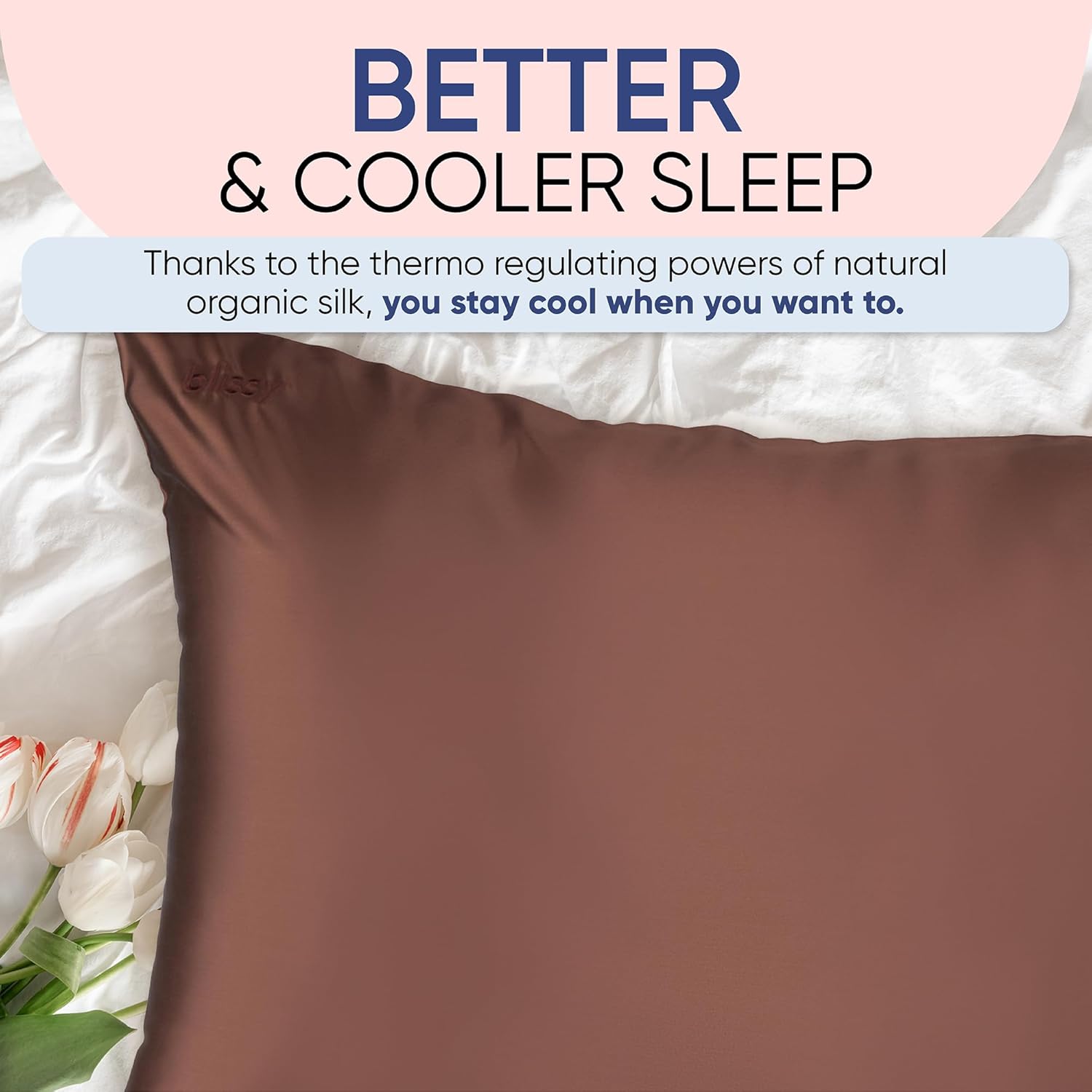 Blissy Silk Pillowcase - 100% Pure Mulberry Silk - 22 Momme 6A High-Grade Fibers - Silk Pillow Cover for Hair & Skin - Regular, Queen & King (Chocolate, Standard)