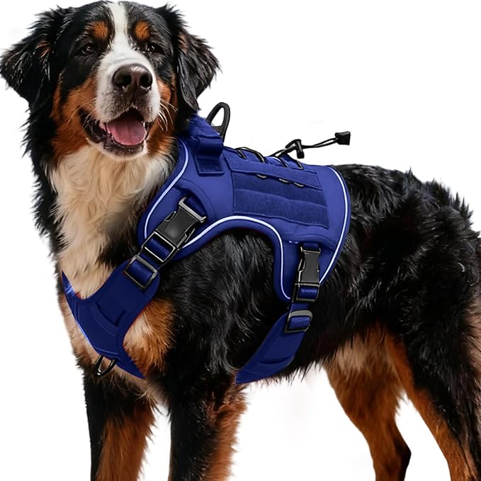 Heavy-Duty Tactical Dog Harness for Large Dogs, No Pull Adjustable Reflective Pet Vest with Molle System, K9 Military-Grade Control for Service Training, Outdoor & 10+ Breeds, Dazzling Blue, XX-Large