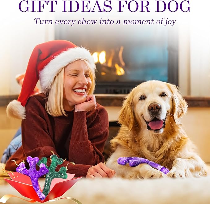 Aggressive Chewers Dog Chew Toys - 2 Pack Tough Dog Toys for Aggressive Chewers Large Breed, Indestructible Dogs Toy for Gift, Interactive to Keep Them Busy