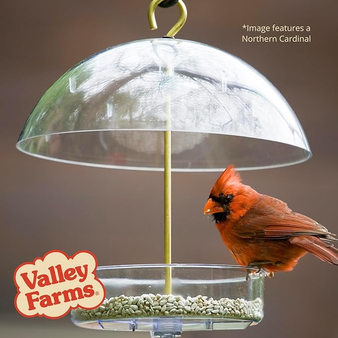 Valley Farms Safflower Seed Wild Bird Food 4 LB 2-Pack (8 LB Total) for Outside Feeders, Safflower Bird Seed for Cardinals, Grosbeaks, and Buntings, Cardinal Birdseed for Outside Feeders