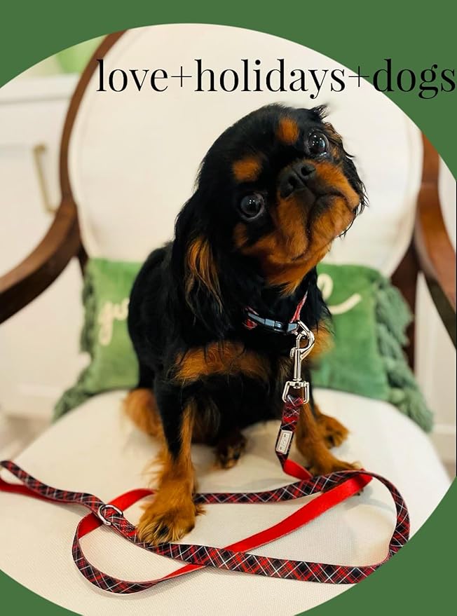 Lucky Love Dog - Adjustable Dog Collar with Easy Click Buckle for Small to Large Ones, Durable, & Comfortable for Male & Female Dogs, Pet Collar for Puppies & Adult Dogs - Heywood, Large