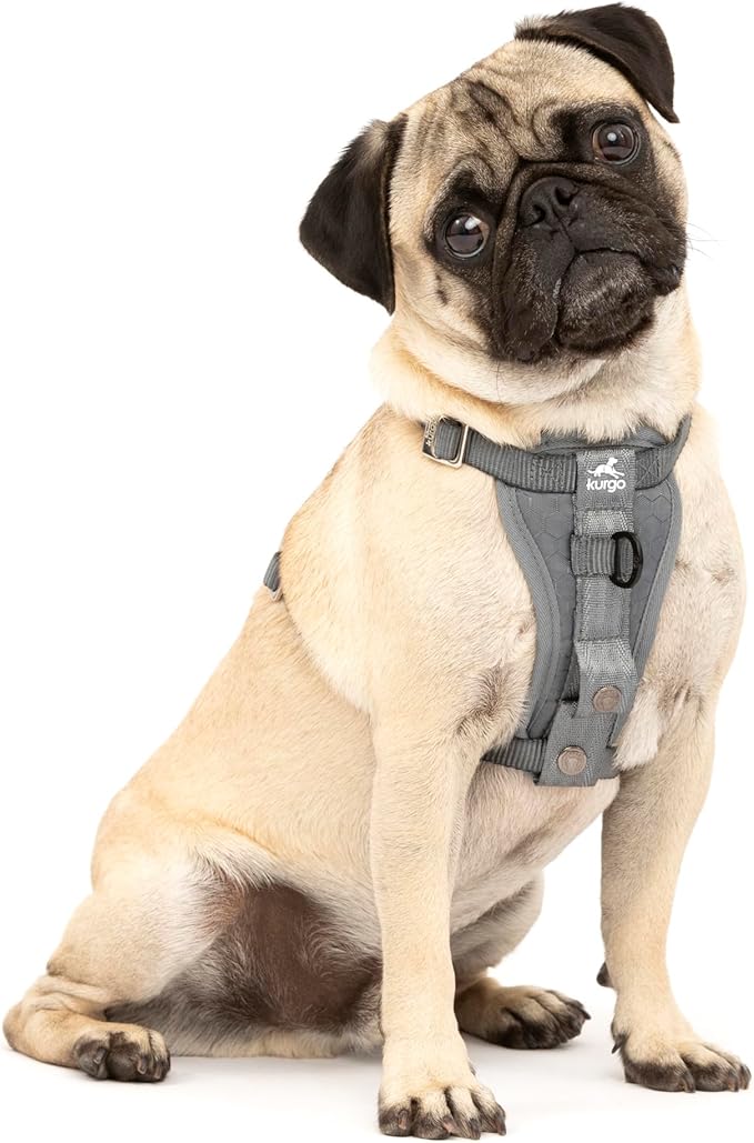 Kurgo Enhanced Strength Tru-Fit Dog Car Harness - Pet Travel Safety Harness - Crash Test Certified Fit - Five Point Adjustment - Secure Buckle - Padded Chest - Charcoal - Small