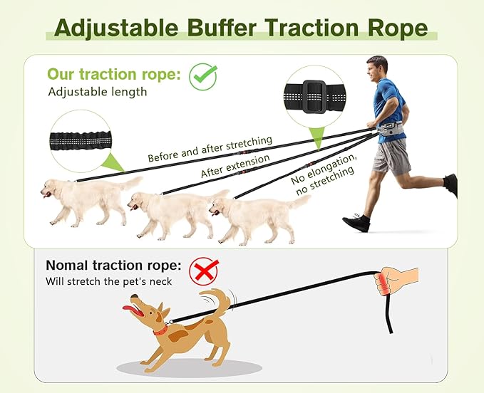 Pecute Hands Free Dog Leash with Pouch, Waist Belt Fanny Pack with Soft Padds, Dual Padded Handles and Durable Bungee for Walking, Hiking, Jogging Biking, and Running (Up to 220lbs)