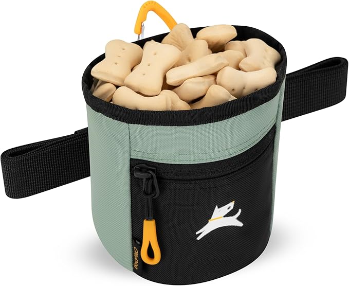 OllyDog Goodie Treat Bag, Dog Treat Pouch, Waist Belt Clip for Hands-Free Training, Magnetic Closure, Dog Training and Behavior Aids, Three Ways to Wear (Iceberg Green)