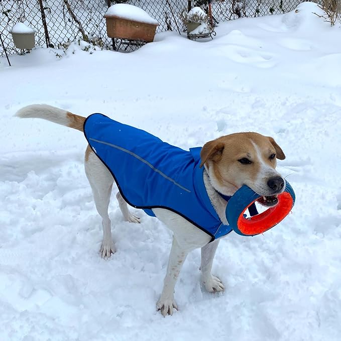 Mile High Life Dog Raincoat, Adjustable Waterproof Reflective Rain Jacket for Small Medium Large Dogs, Lightweight Breathable Pet Rain Coat with Leash Hole(Blue,S Chest 22-25")