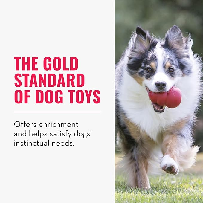 KONG Classic Stuffable Dog Toy - Fetch & Chew Toy for Dogs - Treat-Filling Capabilities & Erratic Bounce for Extended Play Time - Durable Natural Rubber Material - for Large Dogs