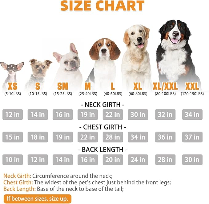 KOOLTAIL Plaid Dog Hoodie Pet Clothes Sweater with Hat and Pocket for Small Medium Large Size Dogs, Soft Winter Warm Dog Cold Weather Coat, Fleece Fall Dog Hooded Sweatshirt for Puppy Cats, White SM