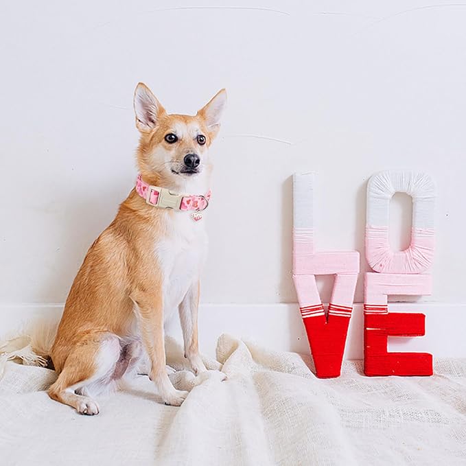 DOGWONG Valentine's Day Dog Collar, Cute Heart Dog Collars, Adjustable Valentine Pink Heart Pet Collars Design Dog Collar with Quick Release Buckle for Puppy Girl Boy Female Dogs