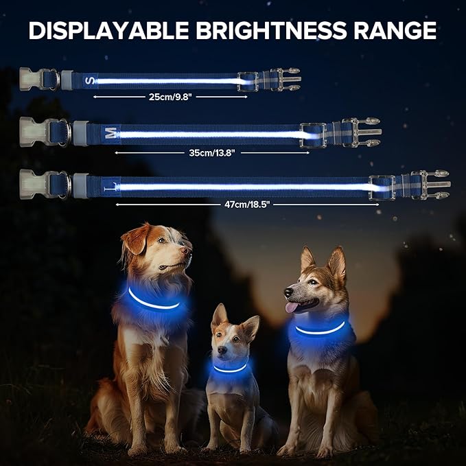 Jewyow Light Up Dog Collar, Adjustable USB Rechargeable Glow in Dark Dog Collar ，Waterproof Dog Collars for Medium Dogs (Blue, Medium)