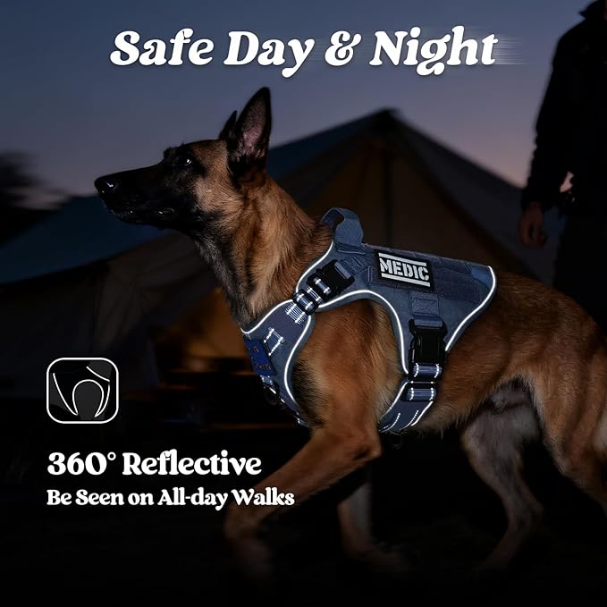 rabbitgoo Tactical Dog Harness for Large Dogs, No Pull Upgraded Reflective Heavy Duty Molle Vest with Handle, Adjustable Military Service Dog Vest for Walking Hiking Training, Blue, L