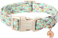 DOGWONG Summer Koala Dog Collar, Green Pink Flower Dog Collars, Adjustable Cute Pet Collars Boy Girl Design Dog Collar for Small Medium Large Dogs