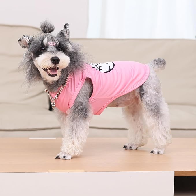 CuteBone Dog Shirts 2-Pack Soft Pet Clothes Breathable Summer Vest for Small Puppy and Stretchy Cat Apparel 2BX21L-D