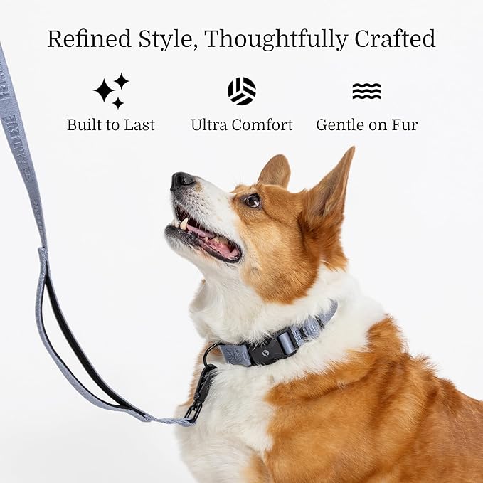 2025 New Edition, Fei & Eve MagEase Dog Collar - Patented Magnetic Buckles | Fur-Safe | Premium 210D Nylon | 450LB Escape-Proof | Adjustable Fit | Large (Dusk Blue)