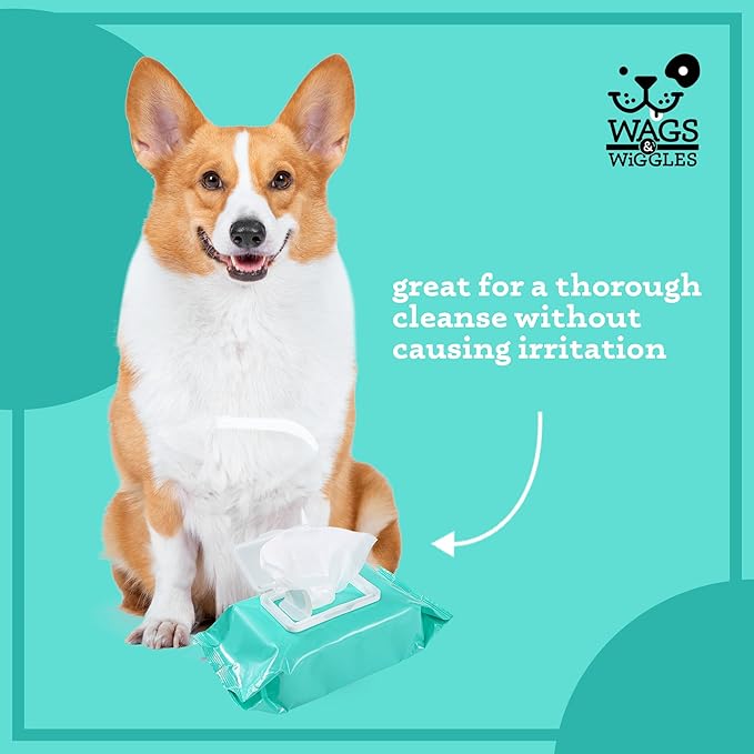 Wags & Wiggles Cleanse Hypoallergenic Wipes 100ct | Hypoallergenic Dog Wips 100 Count Package, Fragrance Free | Waterless Bathing to Keep Pets with Sensitive Skin Clean (FF22031)