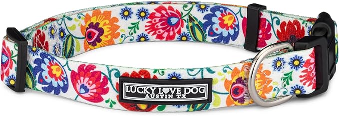 Lucky Love Dog - Adjustable Dog Collar with Easy Click Buckle for Small to Large Ones, Durable, & Comfortable for Male & Female Dogs, Pet Collar for Puppies & Adult Dogs - Ladybird, Small