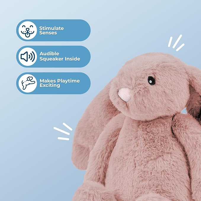 Best Pet Supplies Interactive Bunny Buddy Dog Toy with Crinkle and Squeaky Enrichment for Small and Medium Breed Puppies or Dogs, Cute and Plush - Bunny (Mauve)