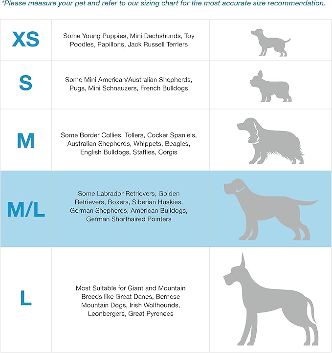 Blue-9 Buckle-Neck Balance Harness, Fully Customizable Fit No-Pull Harness, Ideal for Dog Training and Obedience, Made in The USA, Sky Blue, Medium/Large