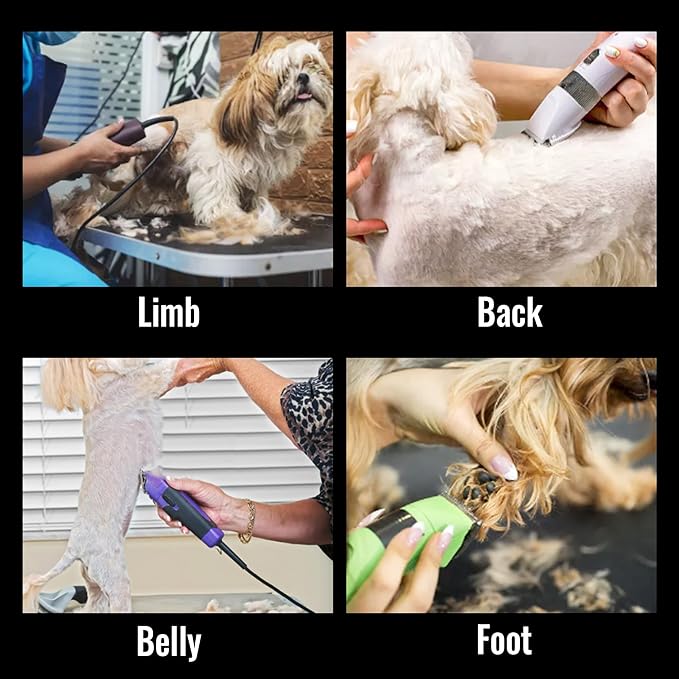 FENICE PEAK 4FC Low Noise Pet Dog Grooming Clippers Replacement Blade Ceramic Edge Detachable Steel Pet Clipper Blade with Cutting Length of 9.6mm (1 Count)