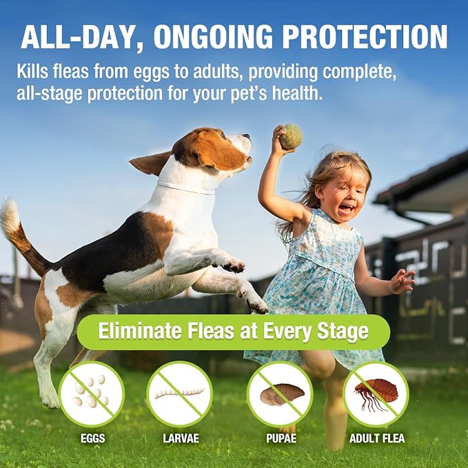 EcoVenger Flea & Tick Collar Repellent 2-Pack White, Fits Both Dogs & Cats, Built-in Pant-Based Formula Strong Repellency Slow Release, Lasting Deterrence and Protection, Pleasant Aroma, Waterproof