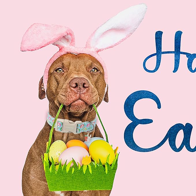 DOGWONG Easter Dog Collar, Cute Blue Egg Bunny Dog Collars, Adjustable Easter Rabbit Pet Collars Design Dog Collar with Quick Release Buckle for Small Dogs