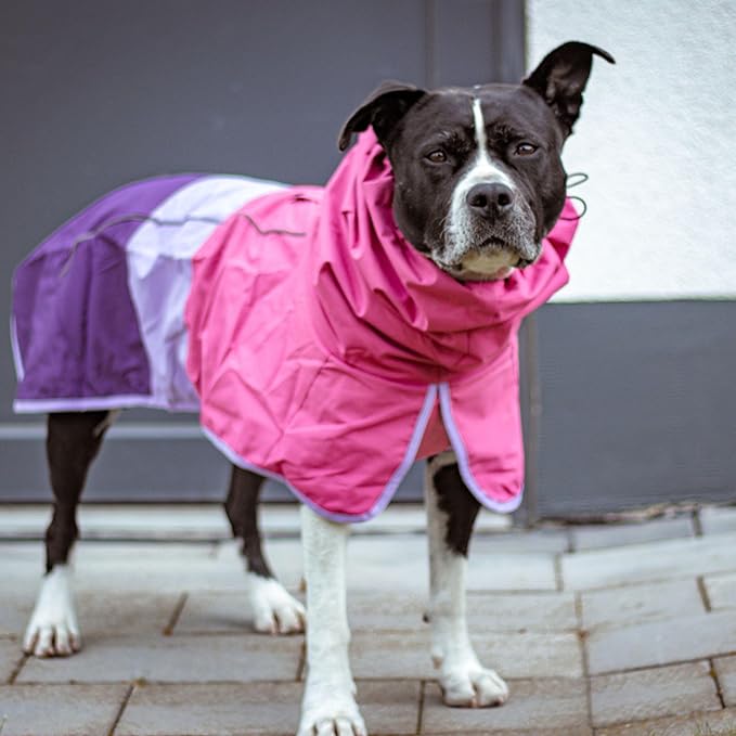 Spark Paws Dog Raincoat, Waterproof Windproof Rain Jacket, for Small Medium Large Extra Large Dogs, Reflective Breathable Full-Body Coverage Dry Suit - Pink Lilac Purple - XL