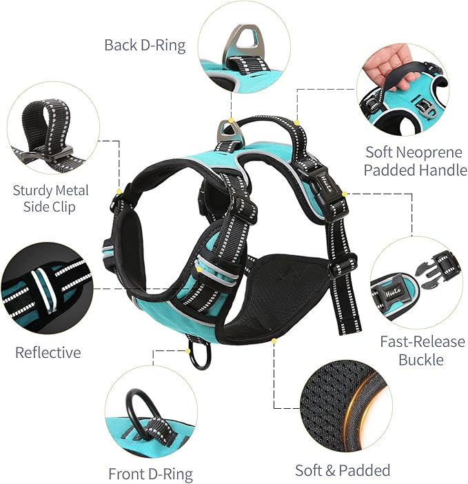 HEELE Dog Harness, No Pull Adjustable Padded Reflective Harness for Small Medium Large Dogs with Handle for Walking Training, Turquoisek, L