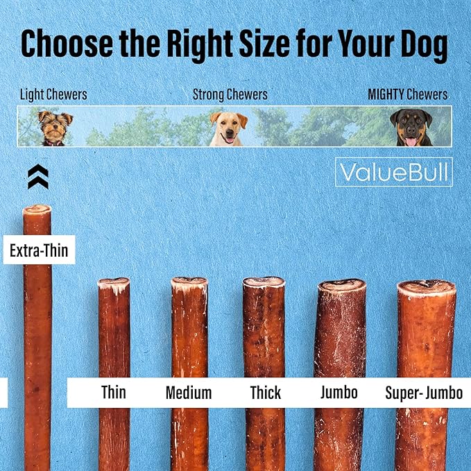 ValueBull Bully Sticks for Small Dogs, Extra Thin 6 Inch, 200 Count Bulk Pack - All Natural, Grass Fed, Single Ingredient, Long Lasting Dog Treats