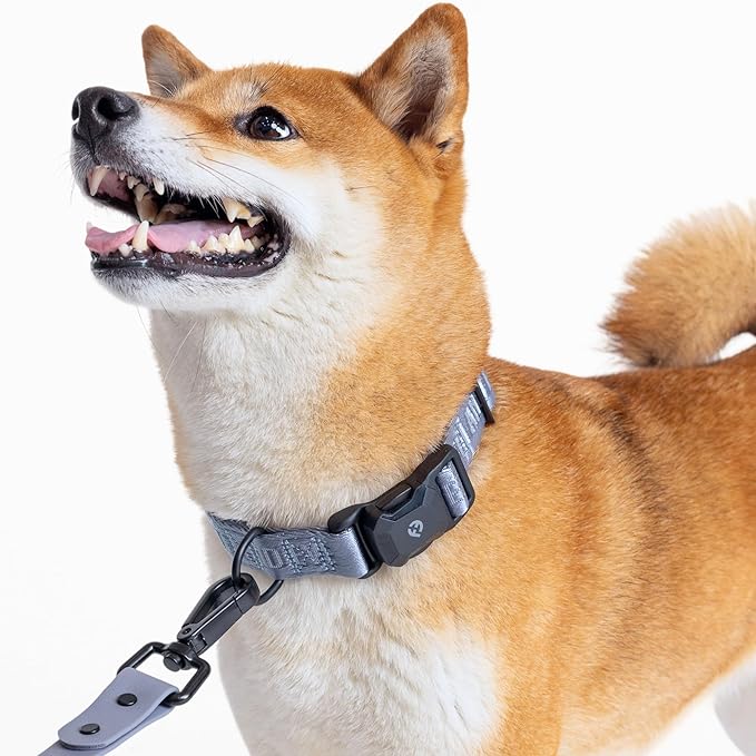 2025 New Edition, Fei & Eve MagEase Dog Collar - Patented Magnetic Buckles | Fur-Safe | Premium 210D Nylon | 450LB Escape-Proof | Adjustable Fit | Small (Dusk Blue)