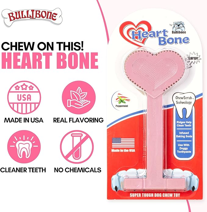 Bullibone Nylon Dog Chew Toy Nylon Bone - Improves Dental Hygiene, Easy to Grip Bottom, and Permeated with Flavor (Peppermint, Large - 2 Pack)