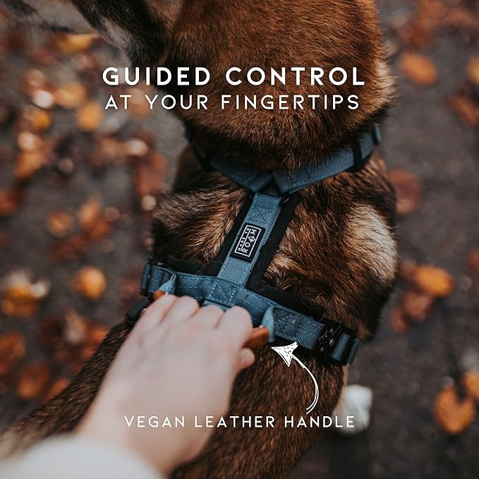 MADE TO ROAM Premium Explorer Harness - Y-Shaped Dog Harness with Adjustable Durable Nylon, Soft Padding, Metal Buckles and Leather Handle for Small, Medium, Large Dogs (Michigan Autumn, Size 1)