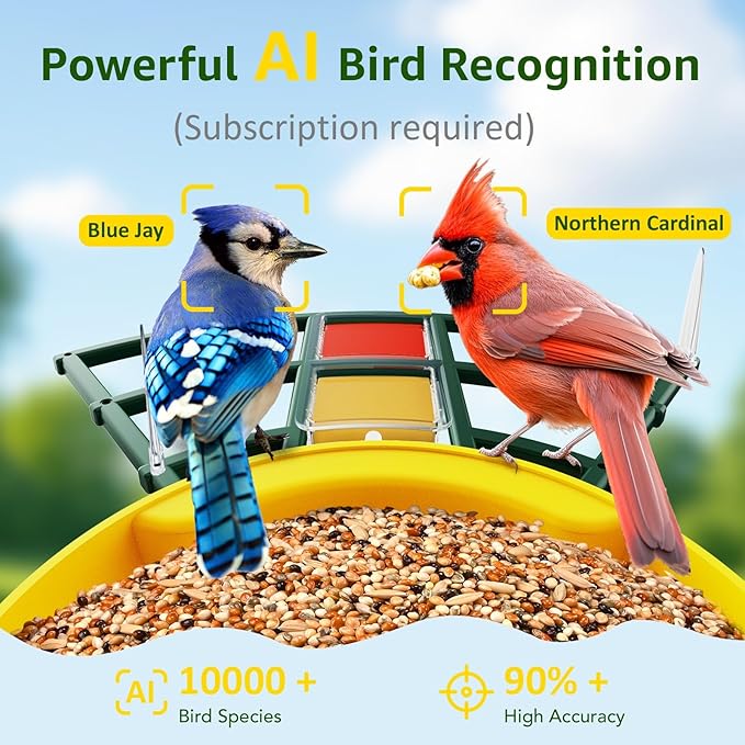 PeckCam® Smart Bird Feeder with Camera 2K HD Auto Detect & Notify, AI Identify 10000+ Birds Camera with Solar Panel 5 Perch Attachments Wireless Outdoor Birdwatching Gift for Birds Lover, Yellow