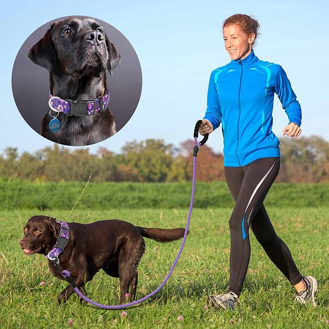 Reflective Dog Collar Padded with Soft Neoprene Breathable Adjustable Nylon Dog Collars for Small Medium Large Dogs (Large (Pack of 1), Purple/Pink Floral Collar+Leash)