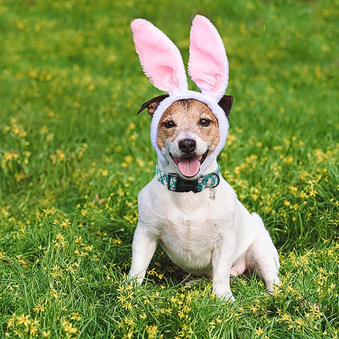 ARING PET Easter Dog Collar-Cute Green Easter Eggs Dog Collar, Adjustable Carrot&Rabbit Pet Collars Puppy Collar Gifts with Quick Release Buckle for Girl&Boy Dogs