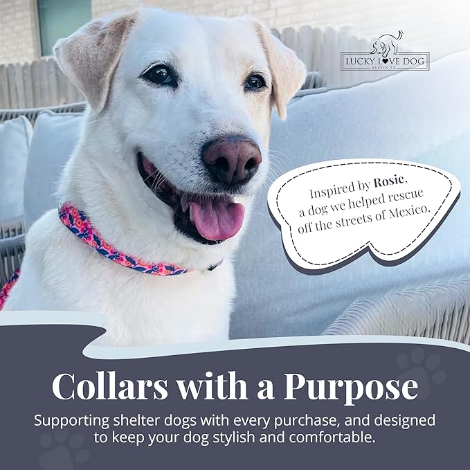 Lucky Love Dog - Easy Click Buckle Dog Collar with Leash Set Combo, Durable & Comfortable for Male & Female Dogs, Pet Collar for Small to Large Dogs, Secure Fit - Floral Rosie Combo, Large
