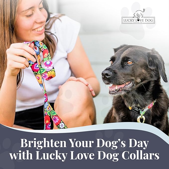 Lucky Love Dog - Adjustable Dog Collar with Easy Click Buckle for Small to Large Ones, Durable, & Comfortable for Male & Female Dogs, Pet Collar for Puppies & Adult Dogs - Blackbird, Large