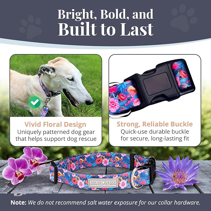 Lucky Love Dog - Adjustable Dog Collar with Easy Click Buckle for Small to Large Dogs, Durable, & Comfortable Collar for Male & Female Dogs, Pet Collar for Puppies & Adult Dogs - Zuzu, Large
