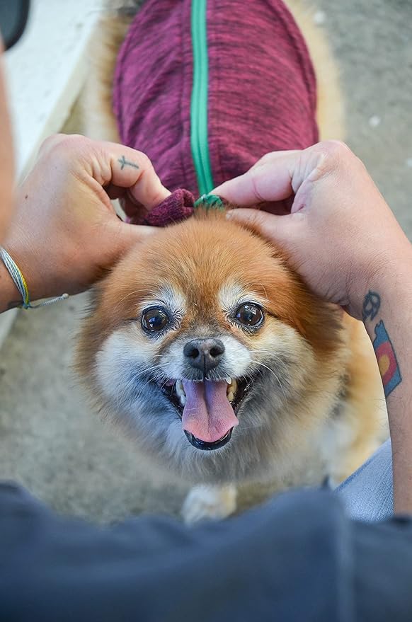 Gooby Boys X-Small Chest (~11 Inch) Zip Up Fleece, Fuchsia Wash, X-Small 11 US