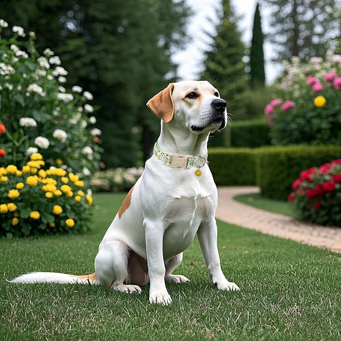 DOGWONG Flower Cotton Dog Collar, Spring Summer Cute Yellow Dog Collar Durable Soft Fabric Pet Dog Collars Female Girl Necklace for Small Medium Large Dogs