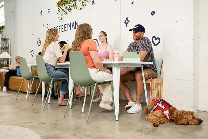 Support Pets The Only Official ESA™ Dog Harness – Adjustable No-Pull Dog Vest for Easy Pet Recognition with Reflective Straps – Soft, Padded & Comfortable for Training and Daily Use - XXSmall