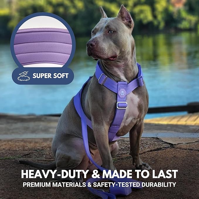 Spark Paws No Pull Dog Harness for Large Dogs, Heavy Duty Dog Harness for Big Strong Breeds, Adjustable, Y Shaped Padded Halter Design with Front Clip - Purple - Medium