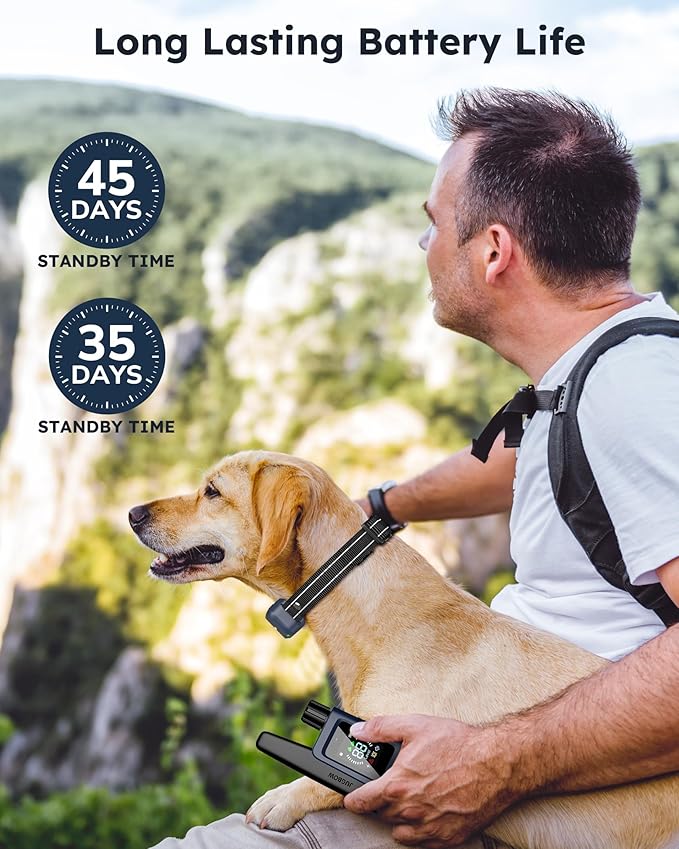 Jugbow Dog Shock Collar 2 Dogs (10-120Lbs) - 4200FT Dog Training Collar with Remote IPX7 Waterproof Electric Collar with 4 Training Modes, Rechargeable e-Collar for Lager Medium Small Dog Dark Blue