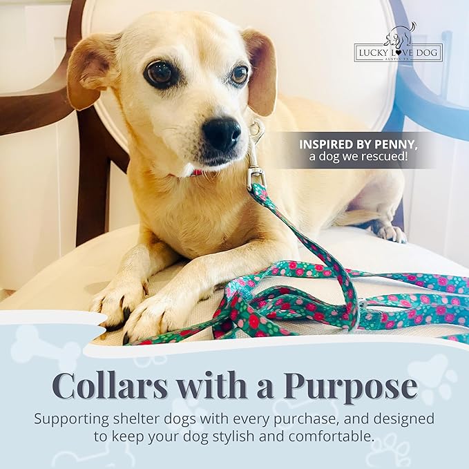 Lucky Love Dog - Adjustable Dog Collar with Easy Click Buckle for Small to Large Dogs, Durable, & Comfortable for Male & Female Dogs, Pet Collar for Puppies & Adult Ones - Penny, Medium