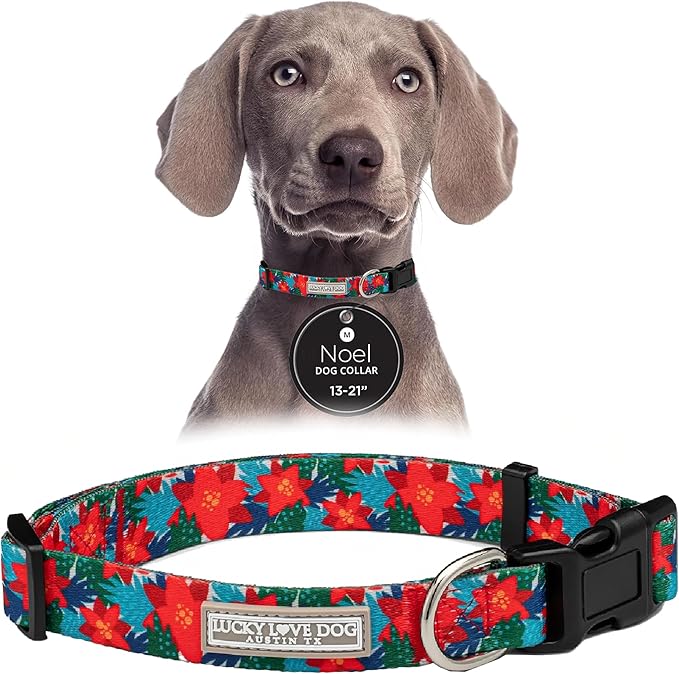 Lucky Love Dog - Adjustable Dog Collar with Easy Click Noel for Small to Large Ones, Durable, & Comfortable for Male & Female Dogs, Pet Collar for Puppies & Adult Dogs - Noel, Medium