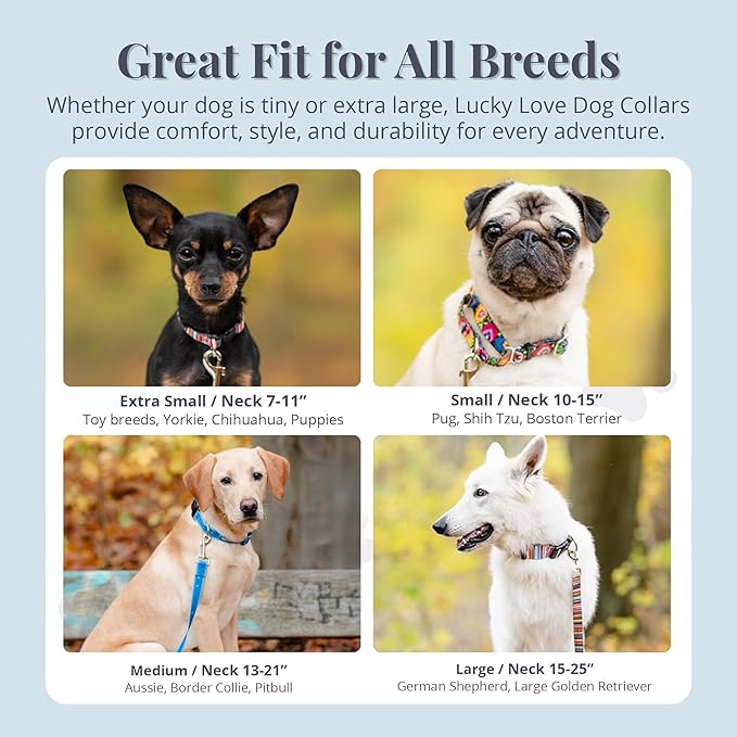 Lucky Love Dog - Adjustable Dog Collar with Easy Click Buckle for Small to Large Ones, Durable, & Comfortable for Male & Female Dogs, Pet Collar for Puppies & Adult Dogs - Laguna, XS