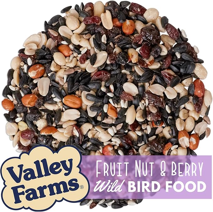 Valley Farms Fruit Nut & Berry 4 LB 2-Pack (8 LB Total) Wild Bird Food for Outside Feeders, Bird Seed with Dried Fruit, Peanuts Sunflower Hearts, Safflower High Energy Mix for Healthy Birds!